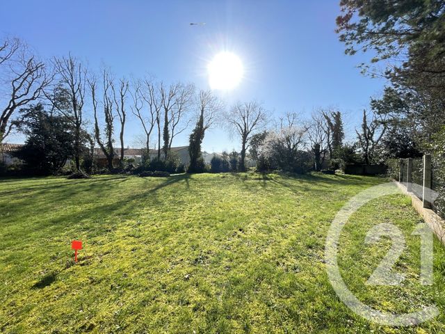 terrain - COMMEQUIERS - 85