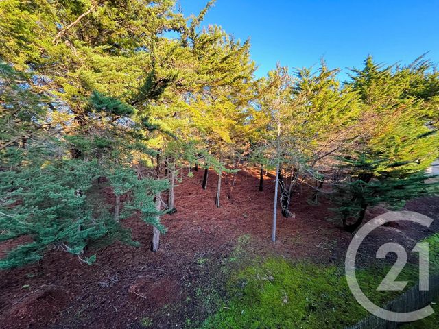 Appartement T2 &agrave; vendre - 2 pi&egrave;ces - 41,28 m2 - St Hilaire De Riez - 85 - PAYS-DE-LOIRE