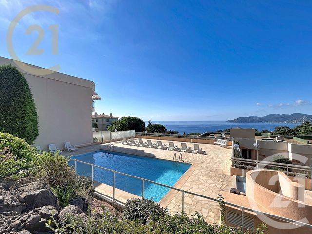 appartement - CANNES - 06