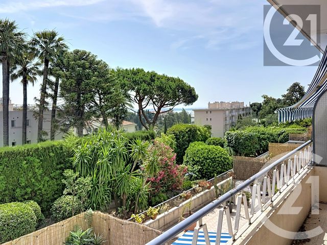 appartement - CANNES - 06