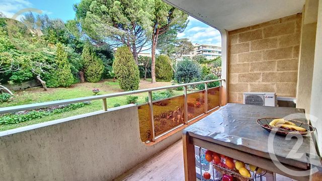 appartement - CANNES - 06