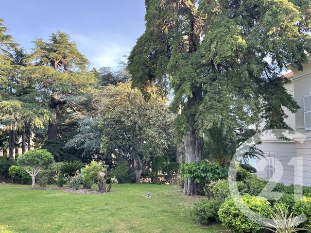 Appartement T2 &agrave; louer - 2 pi&egrave;ces - 27,85 m2 - Cannes La Bocca - 06 - PROVENCE-ALPES-COTE-D-AZUR