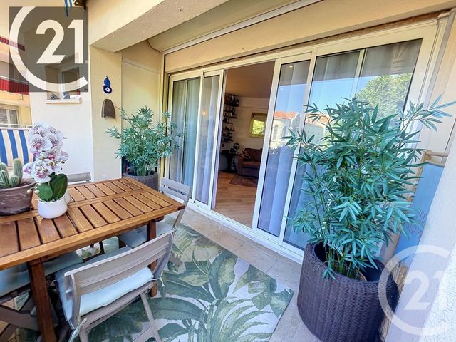 appartement - CANNES - 06