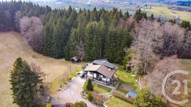 maison - CHEVENOZ - 74