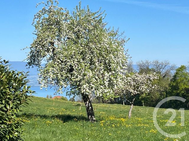 Maison &agrave; vendre - 4 pi&egrave;ces - 78 m2 - Larringes - 74 - RHONE-ALPES