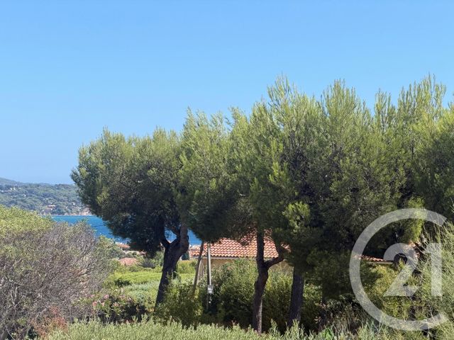 appartement - BANDOL - 83