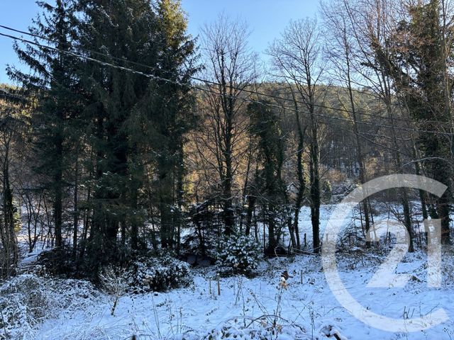 Maison &agrave; vendre - 4 pi&egrave;ces - 72 m2 - Boersch - 67 - ALSACE