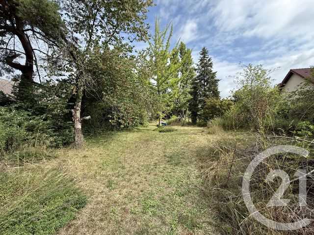 Terrain &agrave; vendre - 1446 m2 - Ostwald - 67 - ALSACE