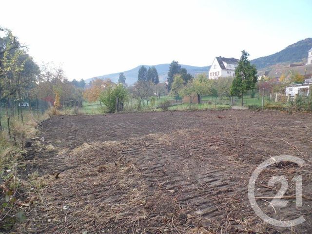 terrain - OTTROTT - 67