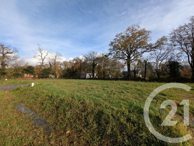 Terrain à vendre - 461 m2 - Peaule - 56 - BRETAGNE