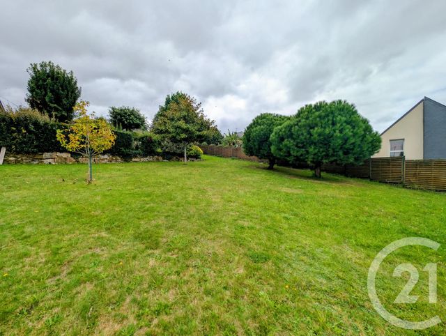 terrain - MARZAN - 56