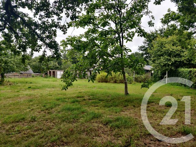 Terrain &agrave; vendre - 1138 m2 - Camoel - 56 - BRETAGNE