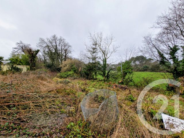 Maison &agrave; vendre - 3 pi&egrave;ces - 117 m2 - Peaule - 56 - BRETAGNE