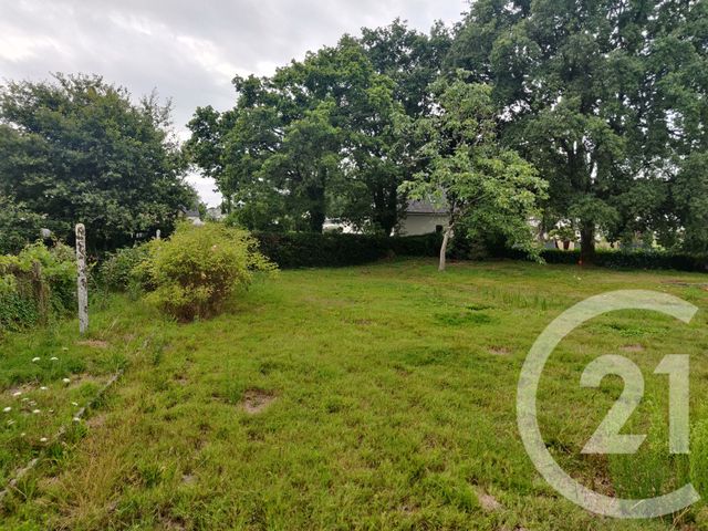 Terrain &agrave; vendre - 1138 m2 - Camoel - 56 - BRETAGNE