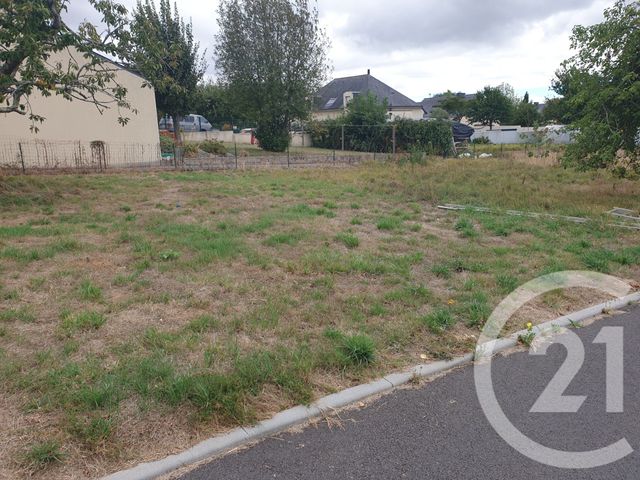 terrain - NOYAL MUZILLAC - 56