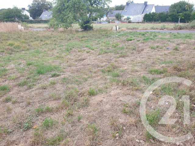 Terrain &agrave; vendre - 380 m2 - Noyal Muzillac - 56 - BRETAGNE