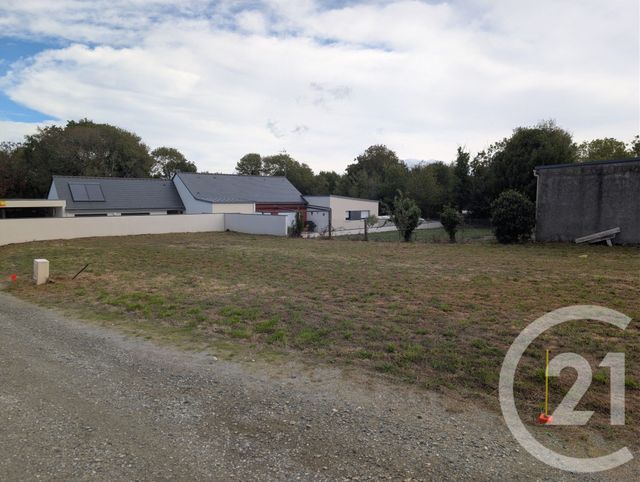 Terrain &agrave; vendre - 475 m2 - Muzillac - 56 - BRETAGNE