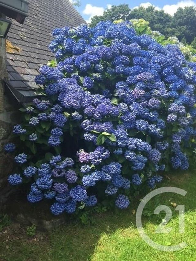 Maison à vendre - 6 pièces - 121 m2 - Nivillac - 56 - BRETAGNE