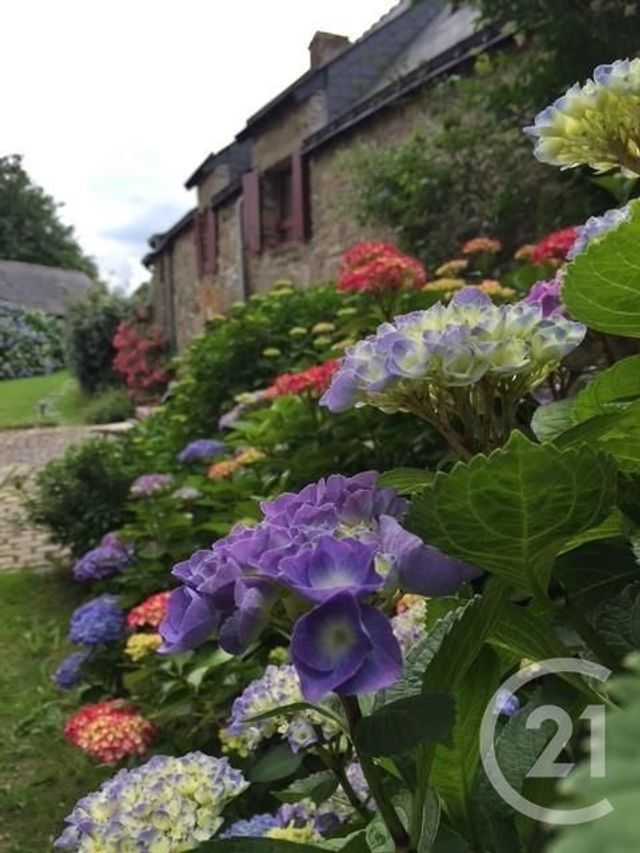 Maison à vendre - 6 pièces - 121 m2 - Nivillac - 56 - BRETAGNE