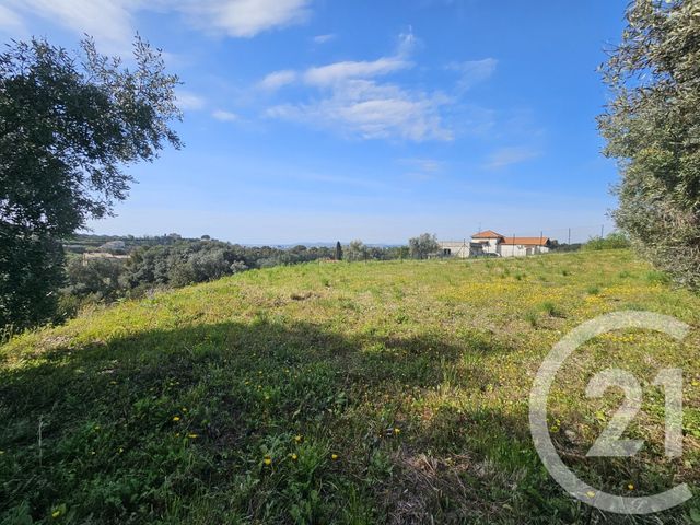 Terrain &agrave; vendre - 2000 m2 - St Laurent Du Var - 06 - PROVENCE-ALPES-COTE-D-AZUR