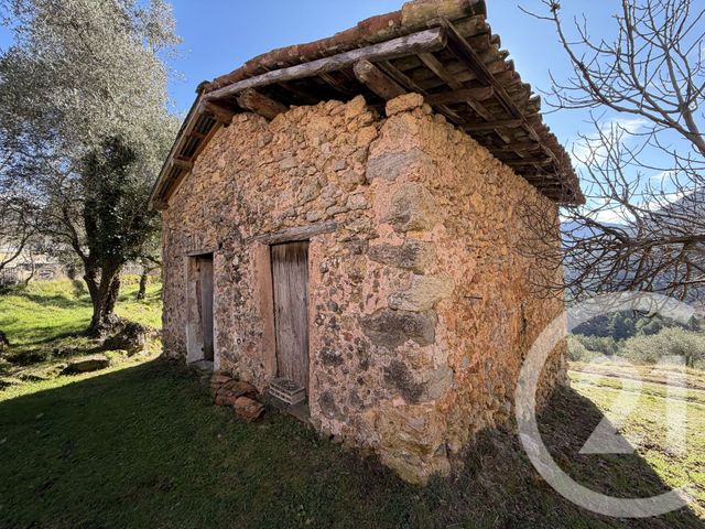 Terrain &agrave; vendre - 15590 m2 - Roquebilliere - 06 - PROVENCE-ALPES-COTE-D-AZUR