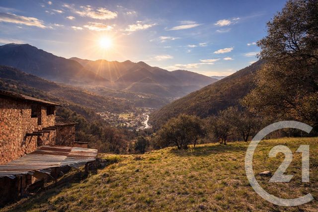 terrain - ROQUEBILLIERE - 06