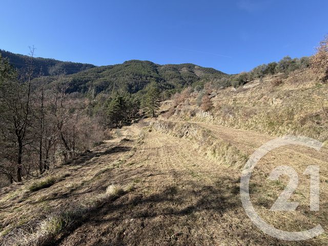 Terrain &agrave; vendre - 15590 m2 - Roquebilliere - 06 - PROVENCE-ALPES-COTE-D-AZUR