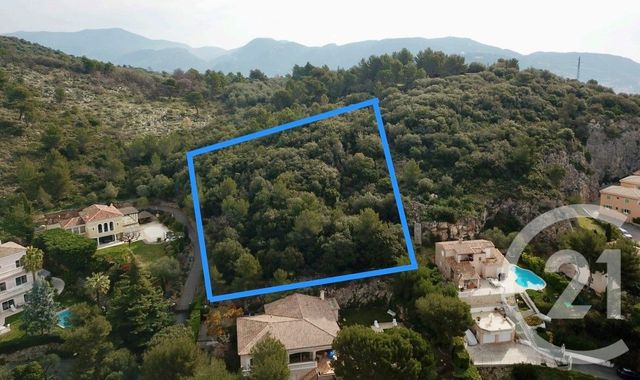 Terrain &agrave; vendre - 2200 m2 - Falicon - 06 - PROVENCE-ALPES-COTE-D-AZUR