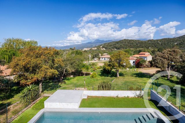 maison - FIGARI - 201