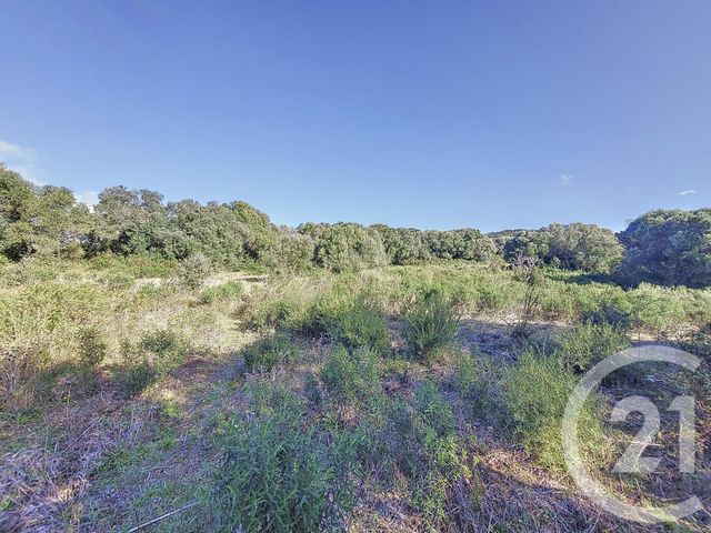 Terrain &agrave; vendre - 12588 m2 - Figari - 201 - CORSE
