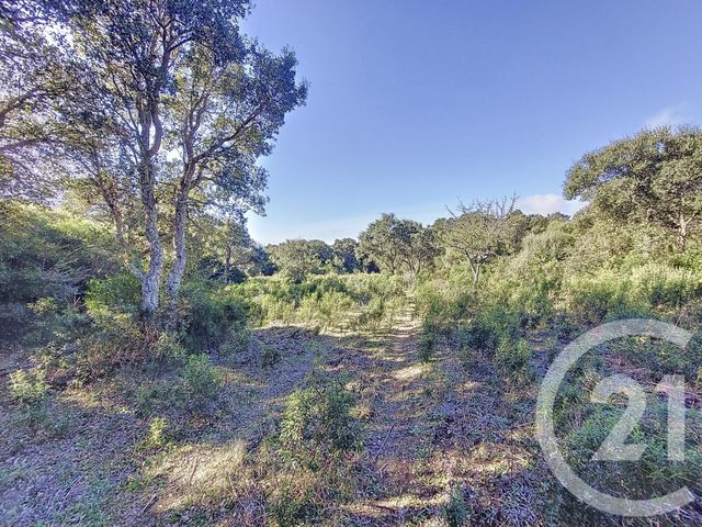 Terrain &agrave; vendre - 12588 m2 - Figari - 201 - CORSE