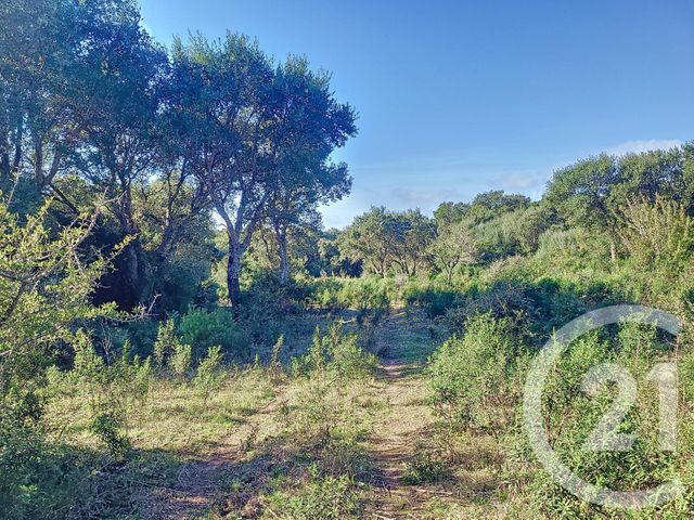 Terrain &agrave; vendre - 12588 m2 - Figari - 201 - CORSE