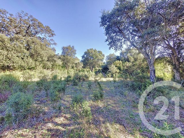 Terrain &agrave; vendre - 12588 m2 - Figari - 201 - CORSE