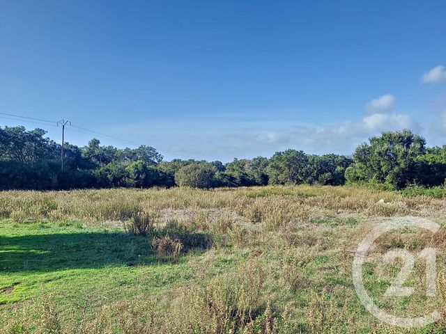 Terrain &agrave; vendre - 12588 m2 - Figari - 201 - CORSE