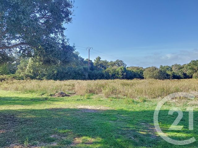 Terrain &agrave; vendre - 12588 m2 - Figari - 201 - CORSE