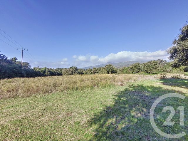 Terrain &agrave; vendre - 12588 m2 - Figari - 201 - CORSE