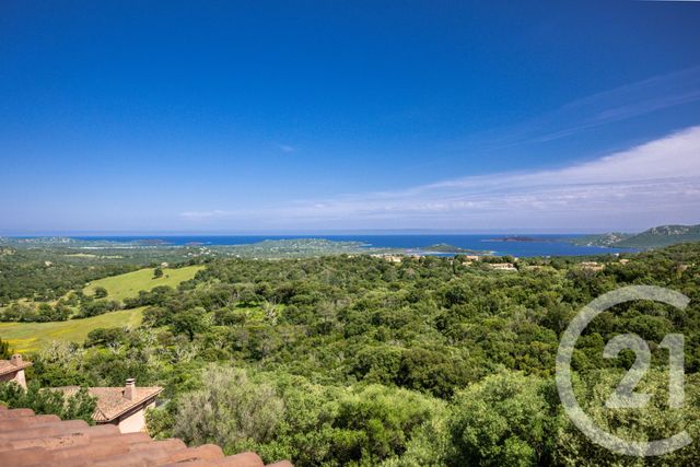Maison à vendre PORTO VECCHIO