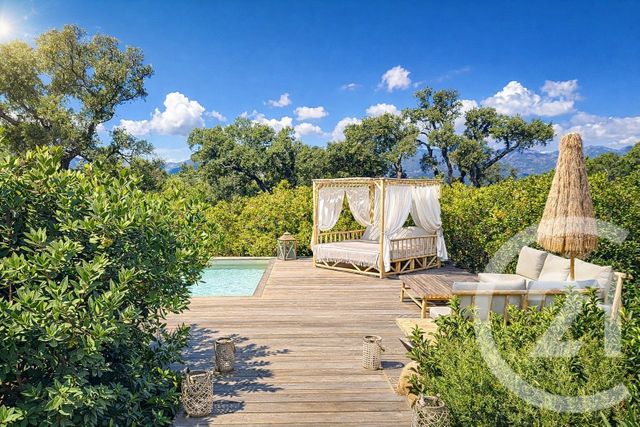 Maison &agrave; vendre - 6 pi&egrave;ces - 225 m2 - Lecci - 201 - CORSE