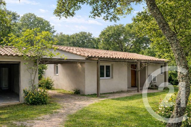 maison - PORTO VECCHIO - 201