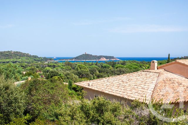 Maison &agrave; vendre - 7 pi&egrave;ces - 247 m2 - Zonza - 201 - CORSE
