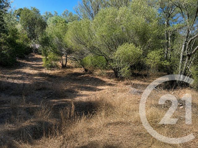 Terrain &agrave; vendre - 1440 m2 - Porto Vecchio - 201 - CORSE