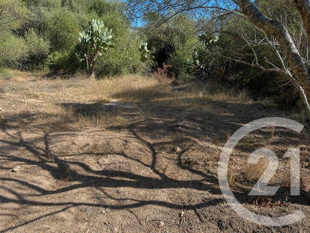 Terrain &agrave; vendre - 1440 m2 - Porto Vecchio - 201 - CORSE