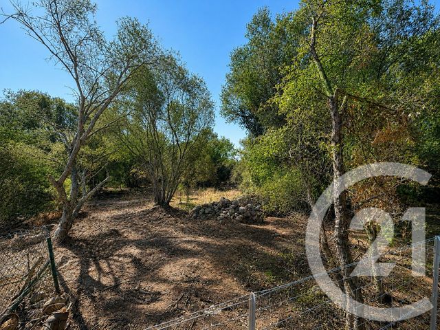 Terrain &agrave; vendre - 1440 m2 - Porto Vecchio - 201 - CORSE