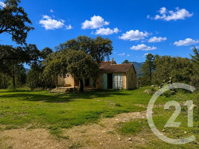 Terrain &agrave; vendre - 2000 m2 - Zonza - 201 - CORSE