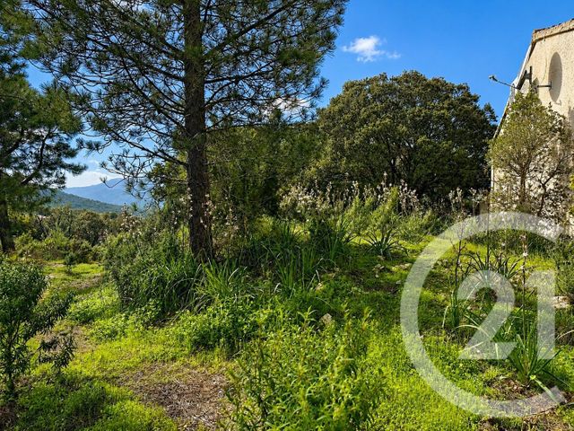 Terrain &agrave; vendre - 2000 m2 - Zonza - 201 - CORSE