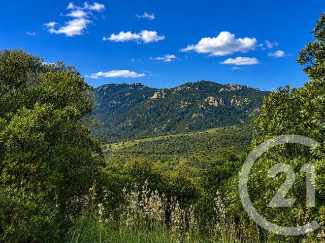 Terrain &agrave; vendre - 3640 m2 - Zonza - 201 - CORSE