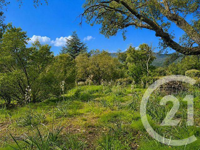 Terrain &agrave; vendre - 3640 m2 - Zonza - 201 - CORSE