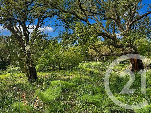 Terrain &agrave; vendre - 3640 m2 - Zonza - 201 - CORSE