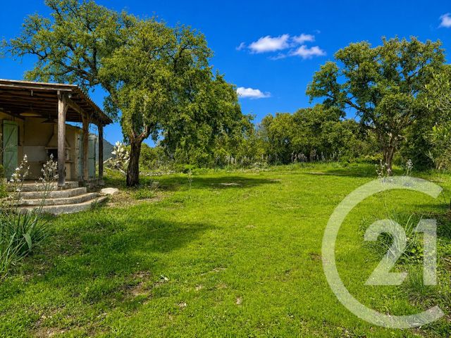 Terrain &agrave; vendre - 3640 m2 - Zonza - 201 - CORSE
