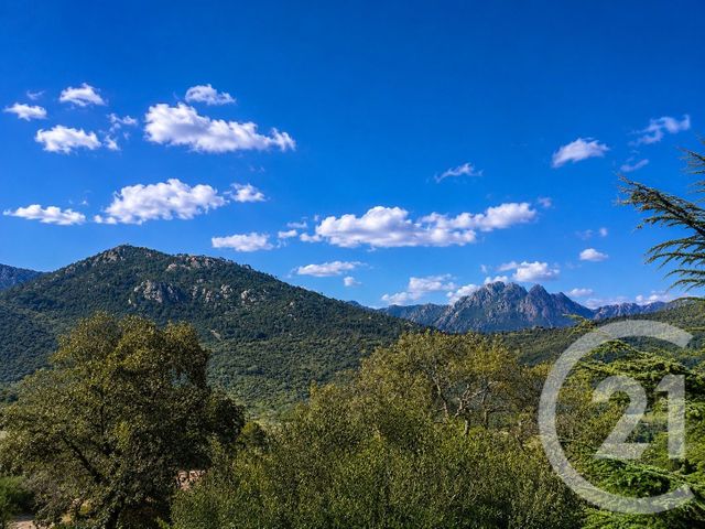 Terrain &agrave; vendre - 3640 m2 - Zonza - 201 - CORSE